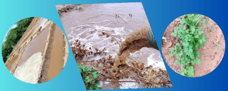 What Smallholder Training Taught Us About Water Management